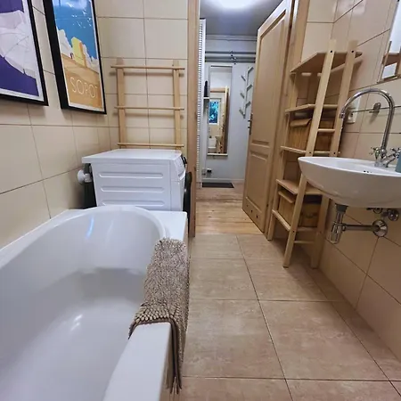 The Goose House By Mc *