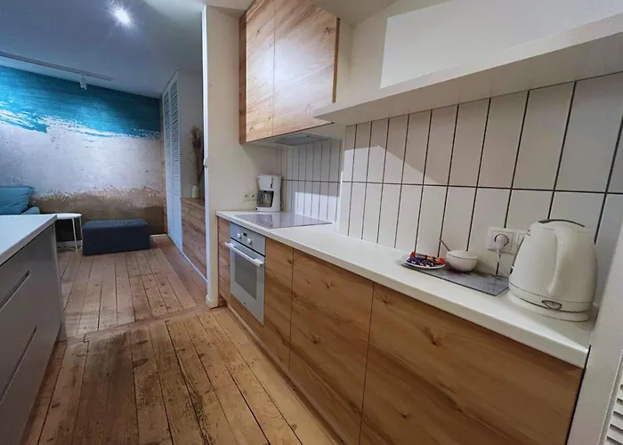 The Goose House By Mc